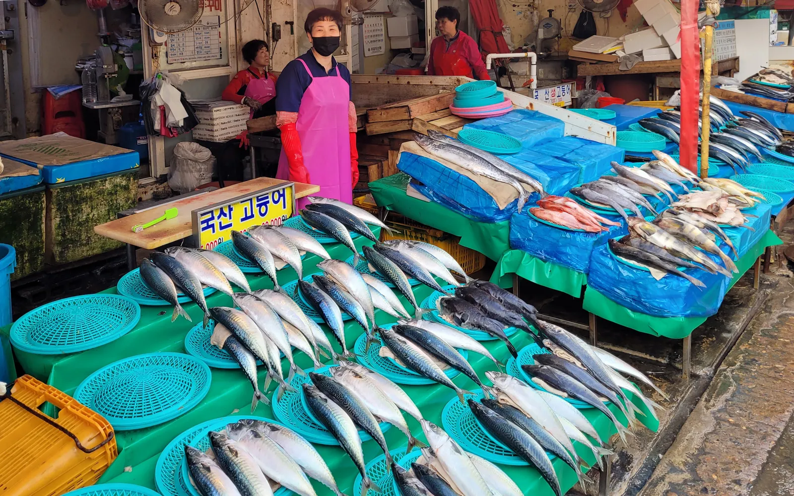 Mackerel laid out in rows on a fish stall at Jagalchi market